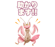 851220155