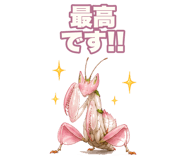 851220159