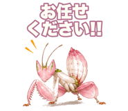 851220163