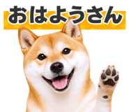 851222289