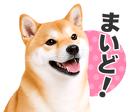 851222290