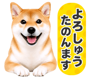 851222291