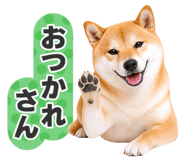 851222292