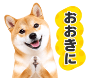 851222293