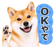 851222294