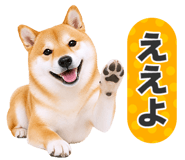 851222295