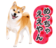 851222296