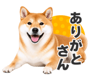 851222298