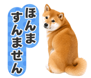 851222299