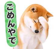 851222300