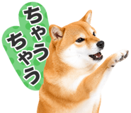 851222305