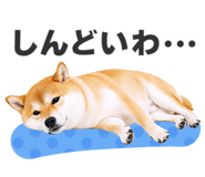 851222307