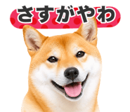 851222308