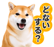 851222309