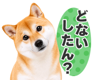 851222310