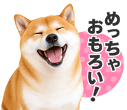 851222311