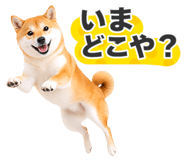 851222314