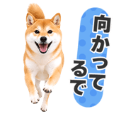 851222315