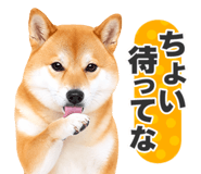 851222317
