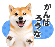 851222320