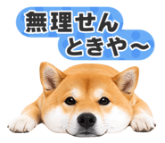 851222321