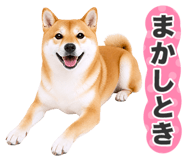 851222322