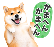 851222323