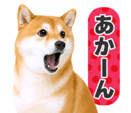851222324
