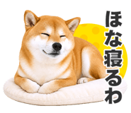 851222326