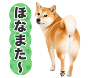 851222328