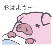 851224313