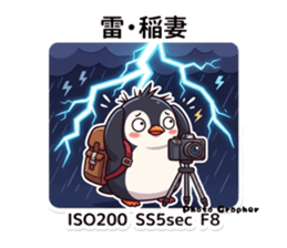 851228431