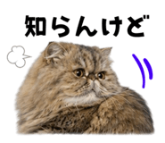 851228473