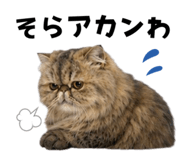 851228483
