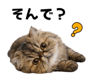 851228484