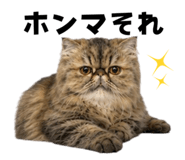 851228486