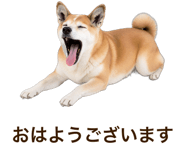 851230681
