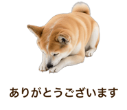 851230683