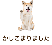 851230685