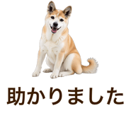 851230689