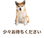 851230694