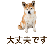 851230695