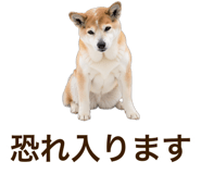851230696