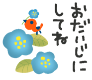 851247243