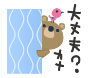 851247244