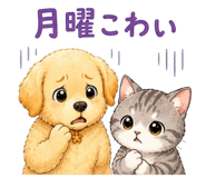 851247646