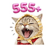 851251210