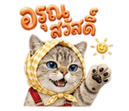 851251211