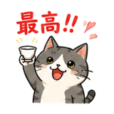 851254320