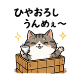 851254330